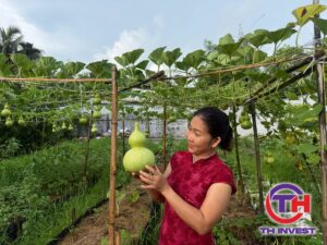 Trang Thanh Thúy, mua nhà cho cha mẹ ở quê