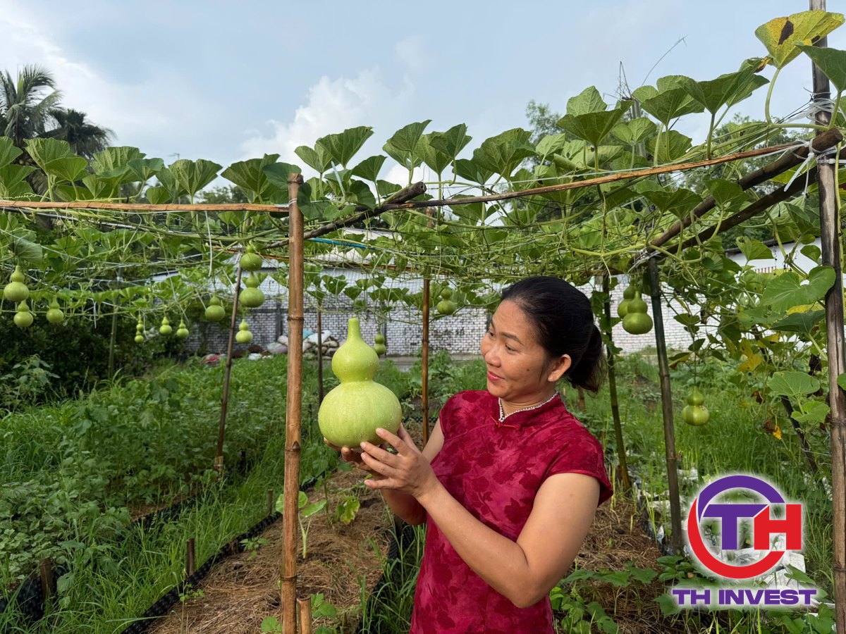 Trang Thanh Thúy, mua nhà cho cha mẹ ở quê