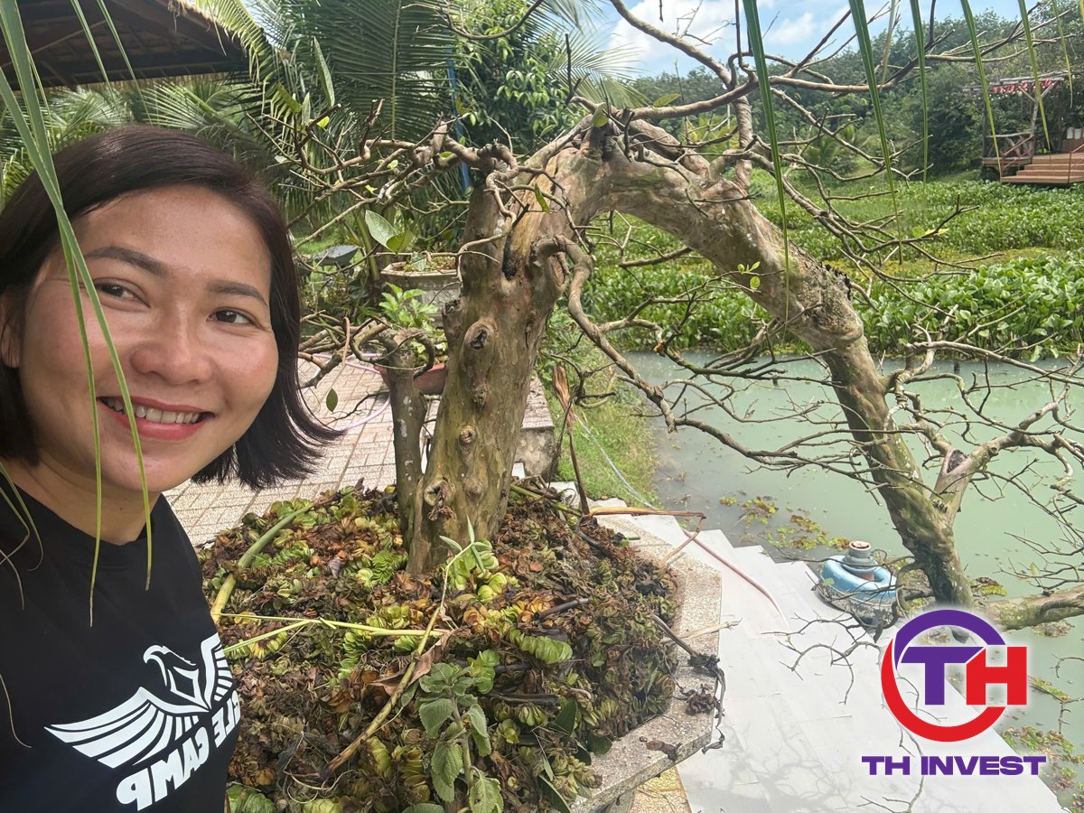 Có 2 tỷ nên mua đất nền hay căn hộ, Trang Thanh Thúy