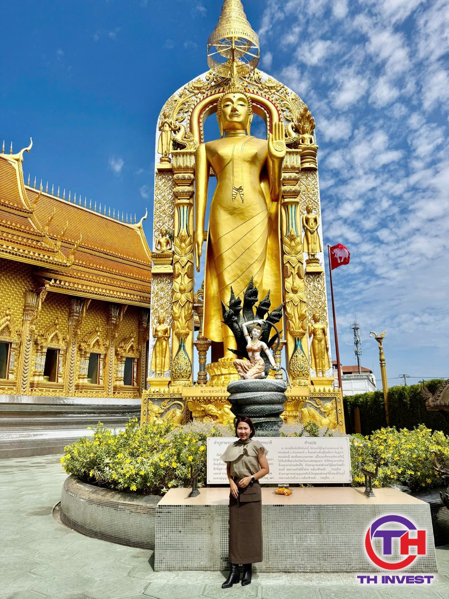 Đất phân lô bán nền, mua đất nền, Trang Thanh Thúy