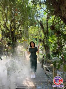 Mua đất sổ chung, chưa tách thửa: 5 rủi ro và cách tự kiểm tra trước khi xuống tiền - Trang Thanh Thúy