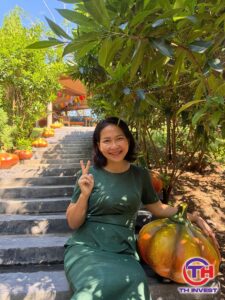 Nhìn một khu đang lên, Trang Thanh Thúy